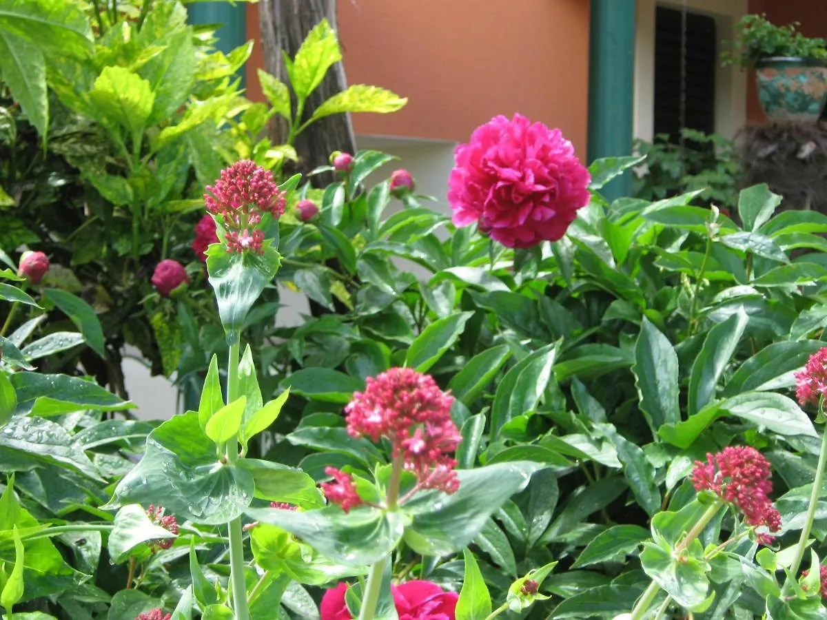 Guest house Bizjak Vinkuran