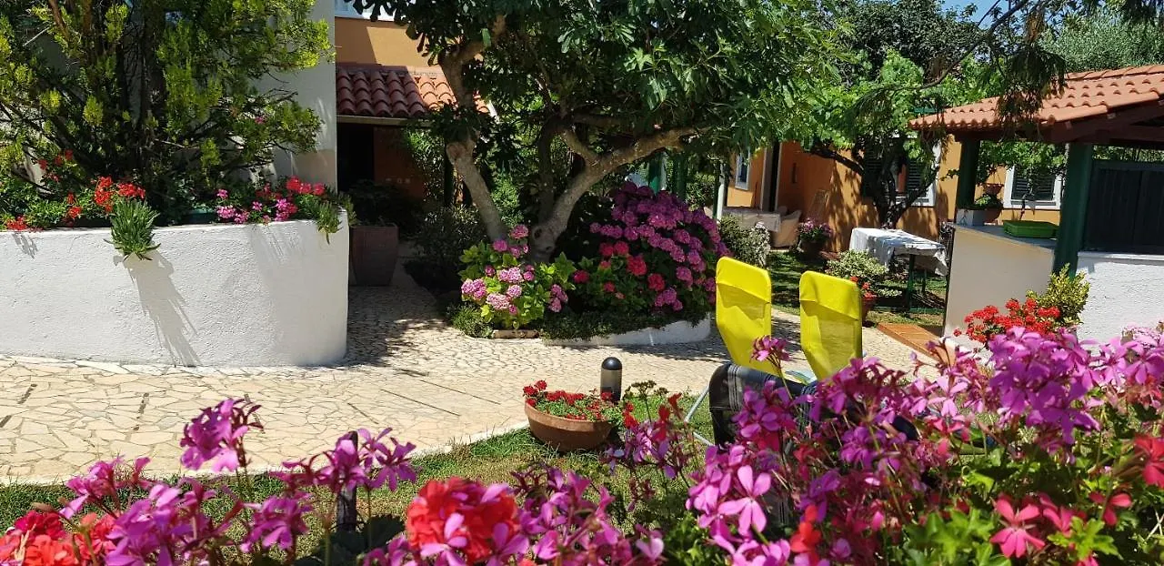 Guest house Bizjak Vinkuran